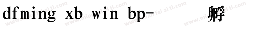 dfming xb win bp字体转换